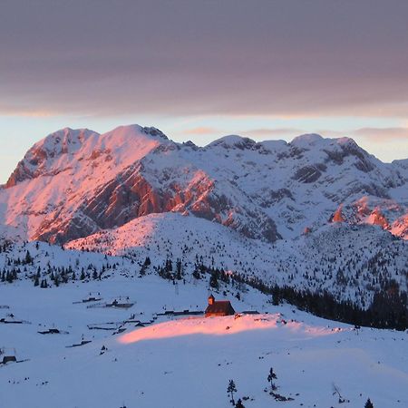 Velika Planina - Chalet Stane - Alps Stahovica Bagian luar foto