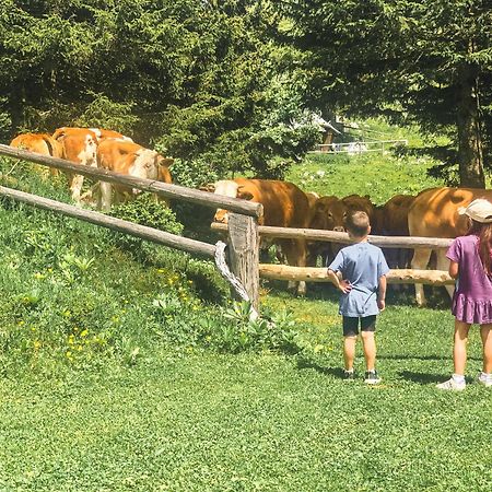 Velika Planina - Chalet Stane - Alps Stahovica Bagian luar foto