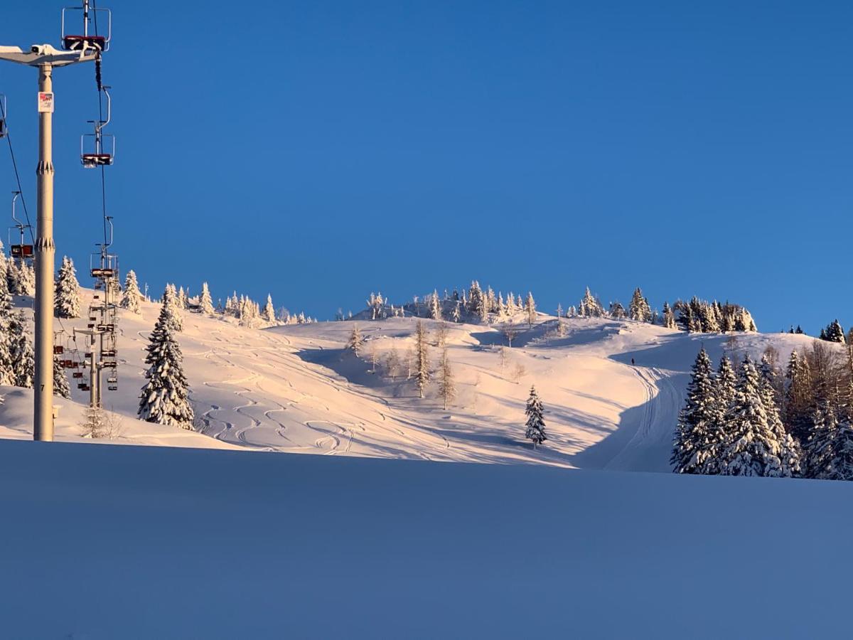 Velika Planina - Chalet Stane - Alps Stahovica Bagian luar foto