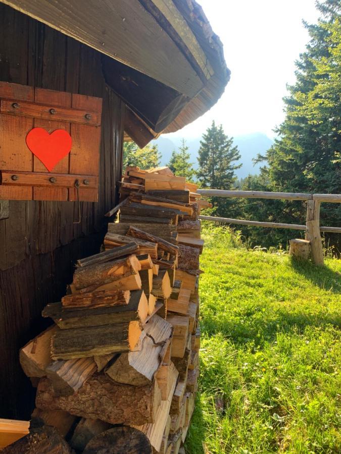 Velika Planina - Chalet Stane - Alps Stahovica Bagian luar foto