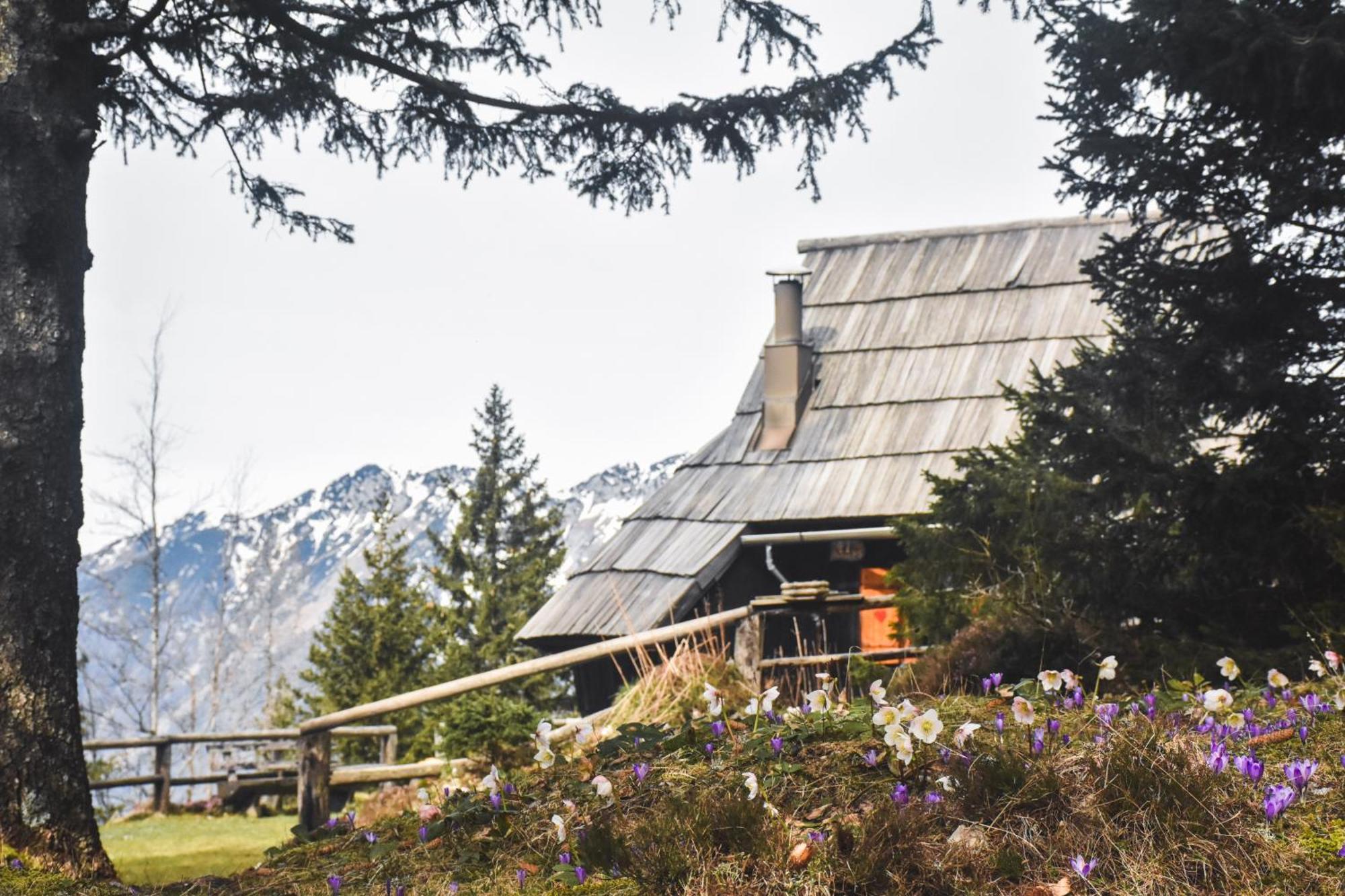 Velika Planina - Chalet Stane - Alps Stahovica Bagian luar foto