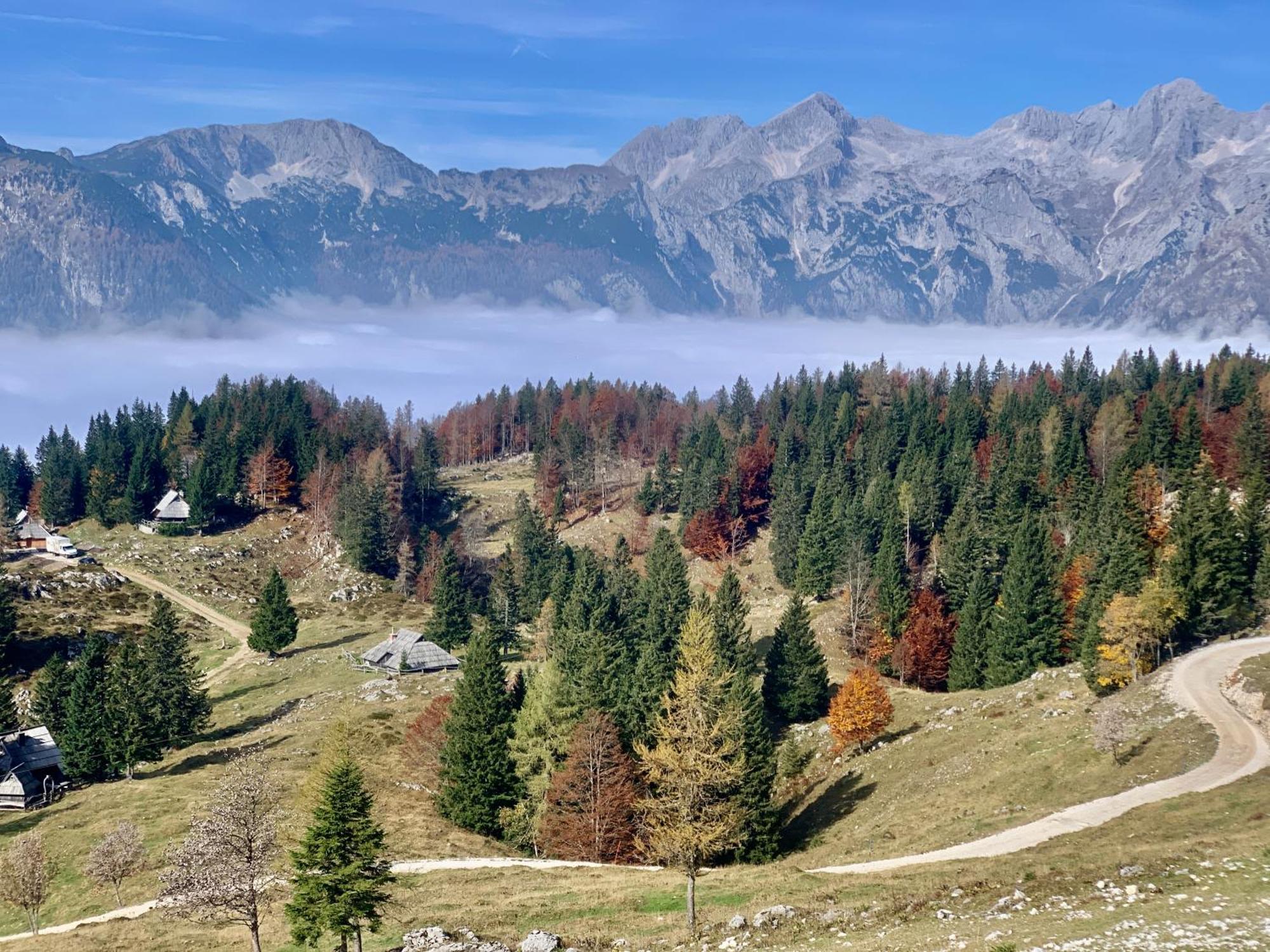 Velika Planina - Chalet Stane - Alps Stahovica Bagian luar foto