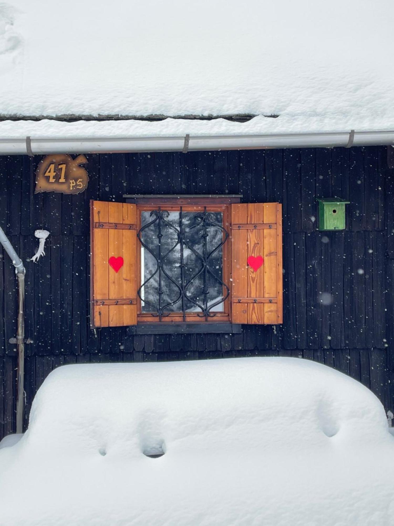 Velika Planina - Chalet Stane - Alps Stahovica Bagian luar foto
