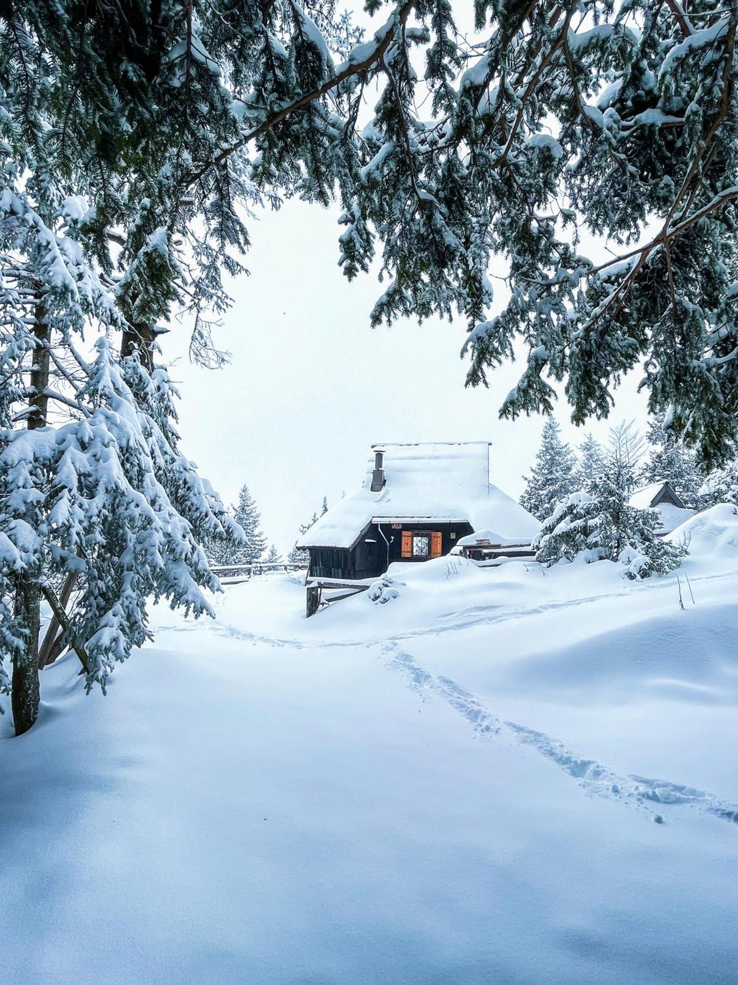 Velika Planina - Chalet Stane - Alps Stahovica Bagian luar foto