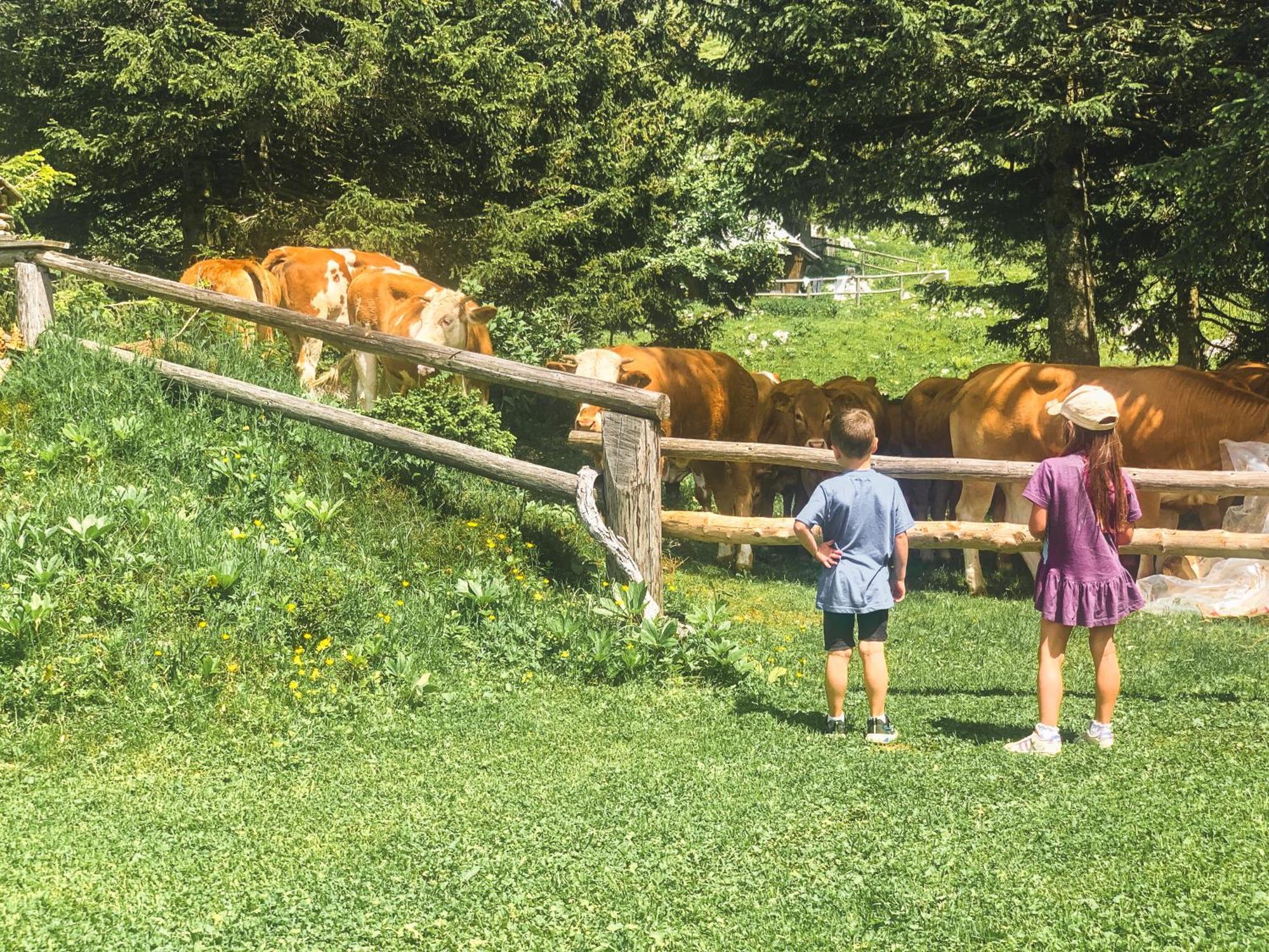 Velika Planina - Chalet Stane - Alps Stahovica Bagian luar foto